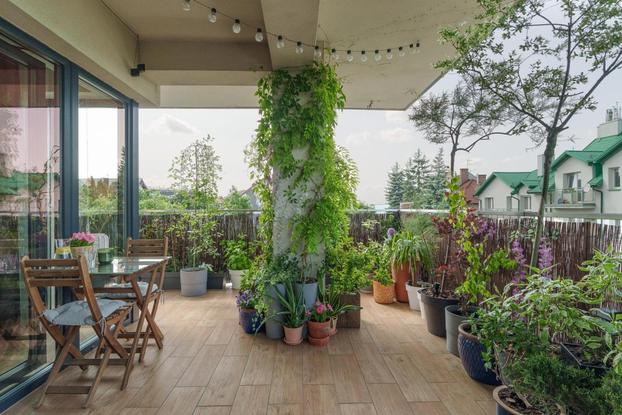 Apartment Plant - 1 Lub 2 Oddzielne Sypialnie, Taras 30m2, Garaz Podziemny, Fv Vat, Targi, Klima, Dostep 24h